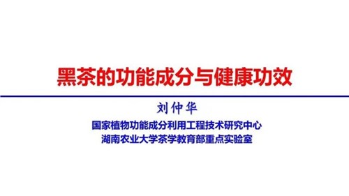 茶的功能成分與健康功效 | 茶、飲茶與健康