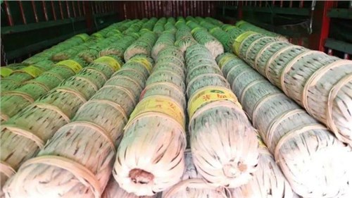 茶葉市場現(xiàn)回暖信號？