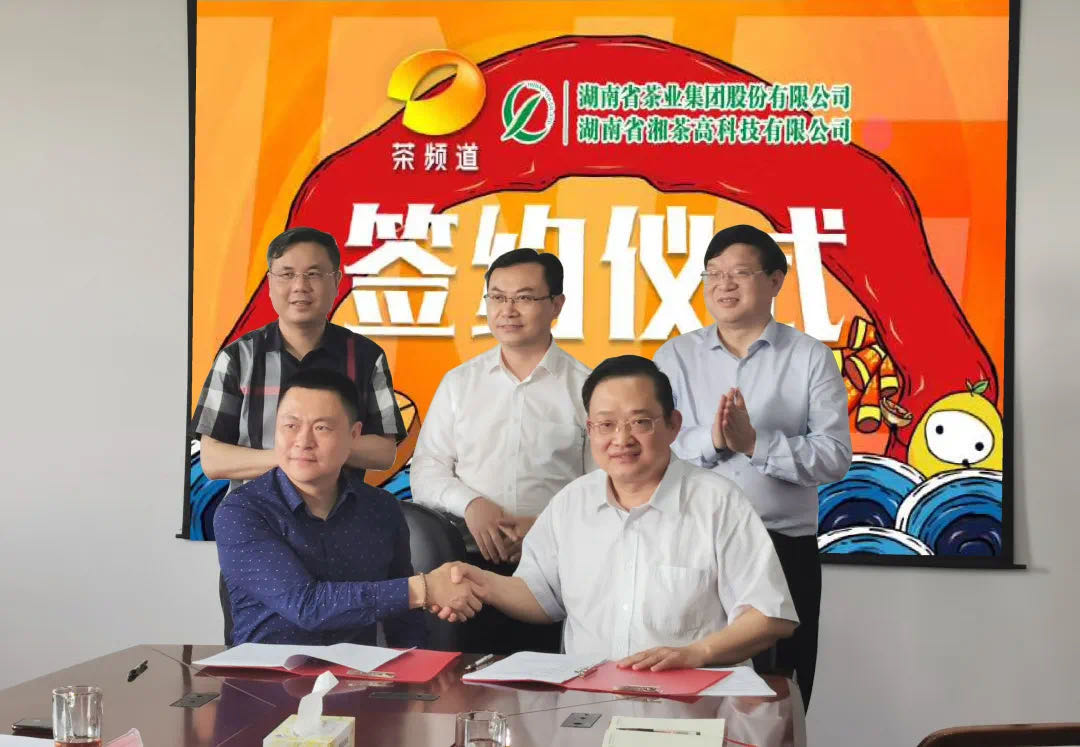 院士見證，輕輕茶發(fā)力品牌建設(shè)，與茶頻道達(dá)成深度合作
