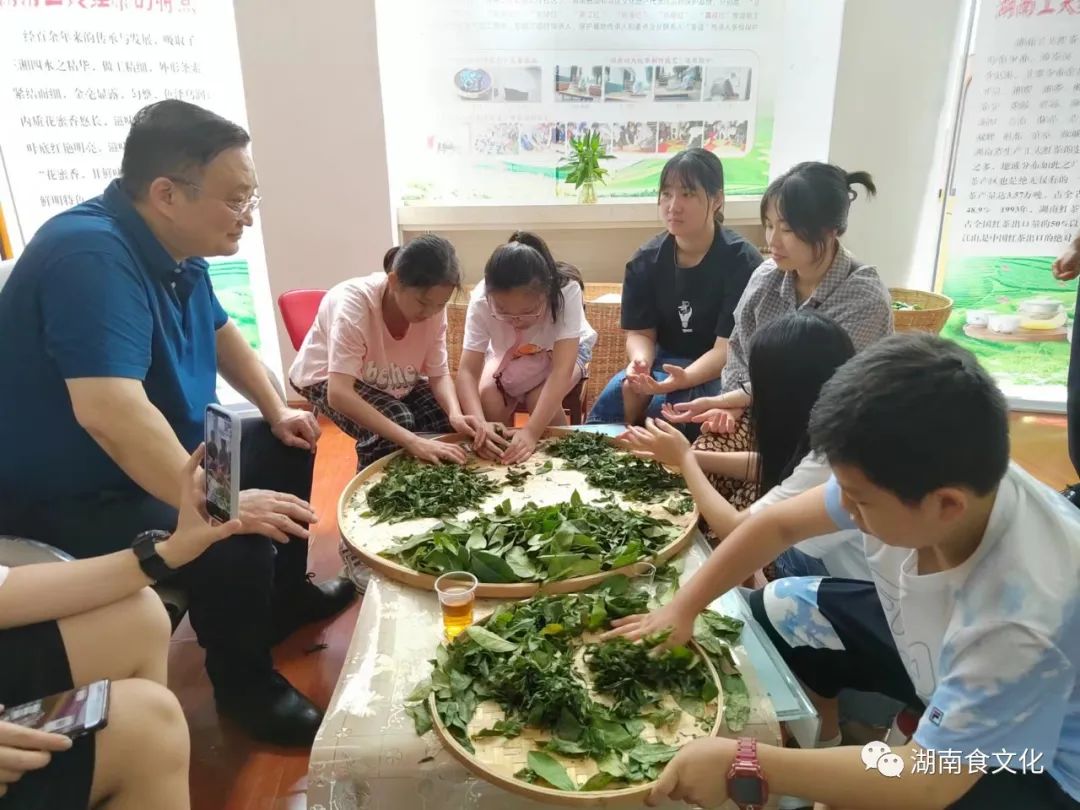 原載人民日?qǐng)?bào)“人民視點(diǎn)”茶葉是怎樣做出來(lái)的？湖南大、中、小學(xué)生體驗(yàn)湖南工夫紅茶制作